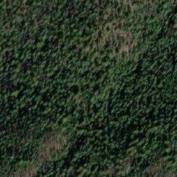 Satellite imagery of Saskum Mountain, CA