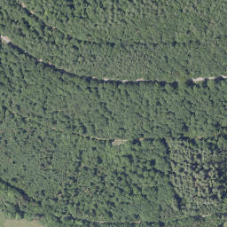 Satellite imagery of Vogelsang, DE