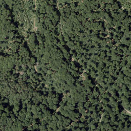 Satellite imagery of Dommel, DE