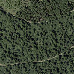 Satellite imagery of Dommel, DE