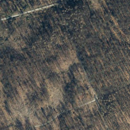 Satellite imagery of Salzleckerkopf, DE