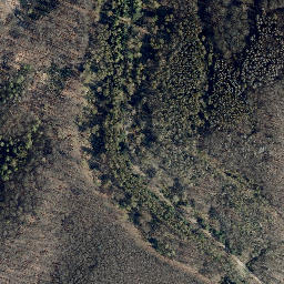Satellite imagery of Junkerkuppe, DE