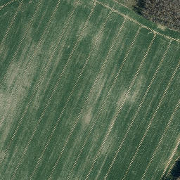 Satellite imagery of Kronberg, DE