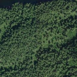 Satellite imagery of Mills Point, CA