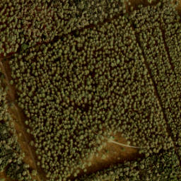 Satellite imagery of 198, NL