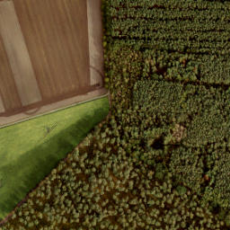 Satellite imagery of 198, NL