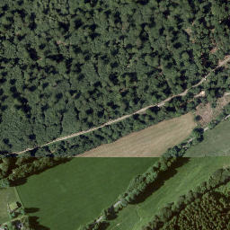 Satellite imagery of Sinzelieth, DE