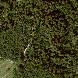 Satellite imagery of trigo punkt: 95/96/99/98, DE