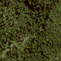 Satellite imagery of trigo punkt: 95/96/99/98, DE