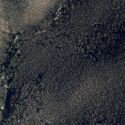 Satellite imagery of Teufelskanzel, DE