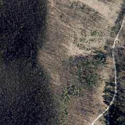 Satellite imagery of Höheberg, DE