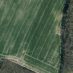 Satellite imagery of Kronberg, DE
