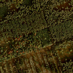 Satellite imagery of 200, NL