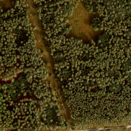Satellite imagery of 198, NL