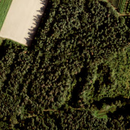 Satellite imagery of 445-A, NL
