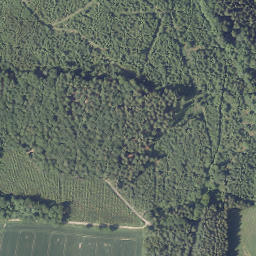 Satellite imagery of Schartenberg, DE