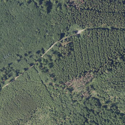 Satellite imagery of Tannenberg, DE