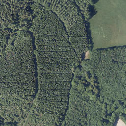 Satellite imagery of Tannenberg, DE