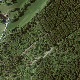 Satellite imagery of Sinzelieth, DE
