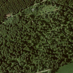 Satellite imagery of Sinzelieth, DE