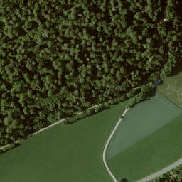 Satellite imagery of Sinzelieth, DE