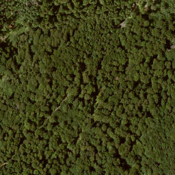 Satellite imagery of trigo punkt: 95/96/99/98, DE