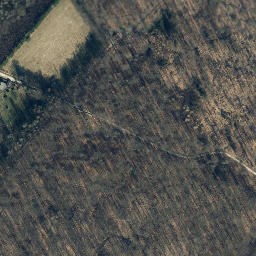 Satellite imagery of Salzleckerkopf, DE