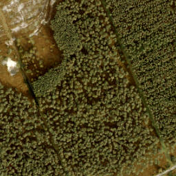 Satellite imagery of 198, NL