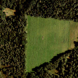 Satellite imagery of 441, NL