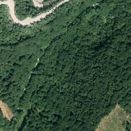 Satellite imagery of Wammesberg, DE