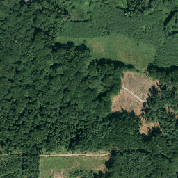 Satellite imagery of Wammesberg, DE