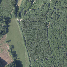 Satellite imagery of Welsberg, DE