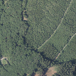 Satellite imagery of Welsberg, DE
