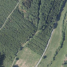 Satellite imagery of Welsberg, DE