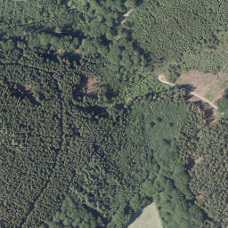 Satellite imagery of Tannenberg, DE