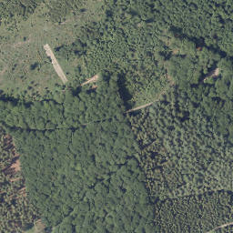 Satellite imagery of Tannenberg, DE