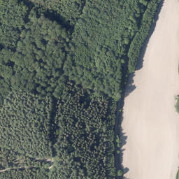 Satellite imagery of Tannenberg, DE