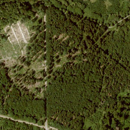 Satellite imagery of Fernmeldeturm Habichtswald, DE