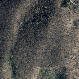 Satellite imagery of Höheberg, DE
