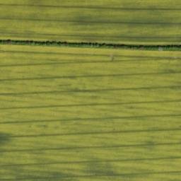 Satellite imagery of Große Haardt, DE