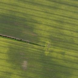 Satellite imagery of Große Haardt, DE