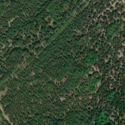 Satellite imagery of Bornberg, DE