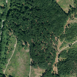 Satellite imagery of Wammesberg, DE