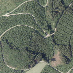 Satellite imagery of Hoher Ransen, DE