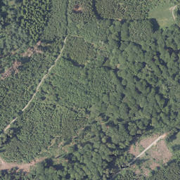 Satellite imagery of Sommerberg, DE