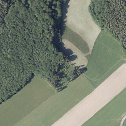 Satellite imagery of Tannenberg, DE