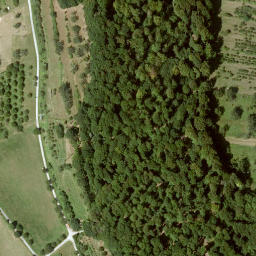 Satellite imagery of Hainskopf, DE