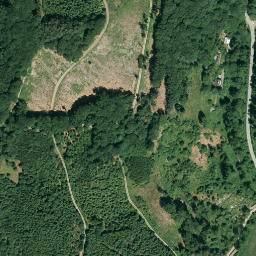 Satellite imagery of Wammesberg, DE