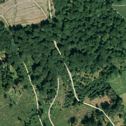 Satellite imagery of Wammesberg, DE