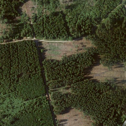 Satellite imagery of Jungfernkopf, DE